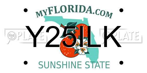 Y25ILK Florida License Plate