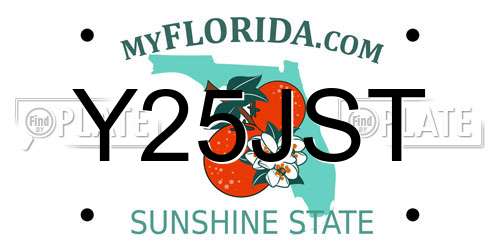 Y25JST Florida License Plate