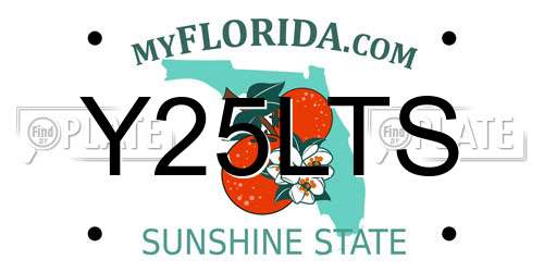 Y25LTS Florida License Plate