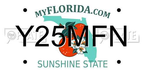 Y25MFN Florida License Plate