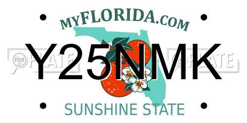 Y25NMK Florida License Plate