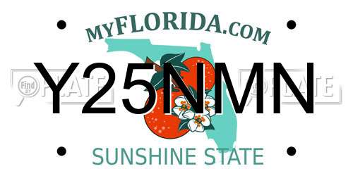 Y25NMN Florida License Plate