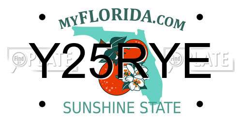 Y25RYE Florida License Plate