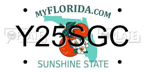 Y25SGC Florida License Plate