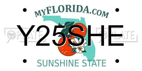 Y25SHE Florida License Plate