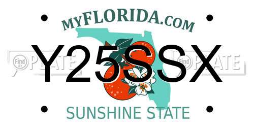 Y25SSX Florida License Plate