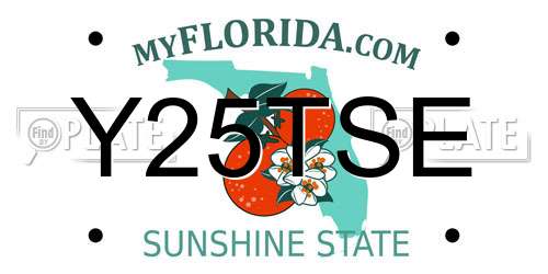 Y25TSE Florida License Plate