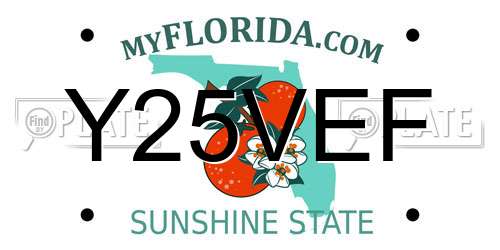 Y25VEF Florida License Plate