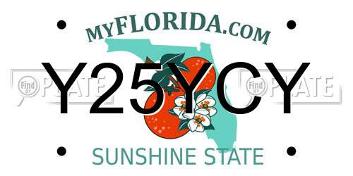 Y25YCY Florida License Plate