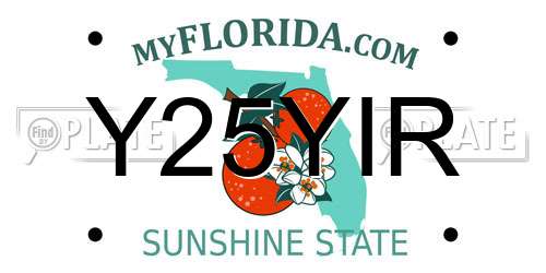 Y25YIR Florida License Plate