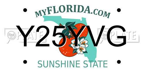 Y25YVG Florida License Plate