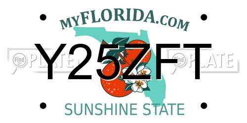 Y25ZFT Florida License Plate
