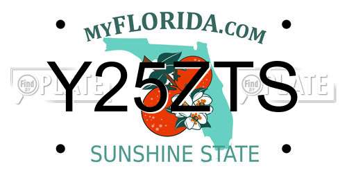 Y25ZTS Florida License Plate