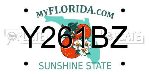 Y261BZ Florida License Plate