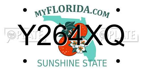 Y264XQ Florida License Plate