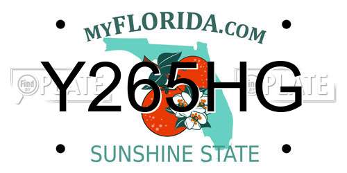 Y265HG Florida License Plate