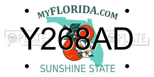Y268AD Florida License Plate
