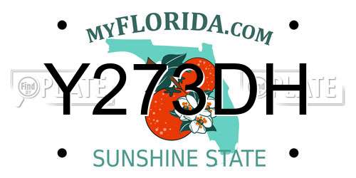 Y273DH Florida License Plate