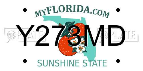 Y273MD Florida License Plate