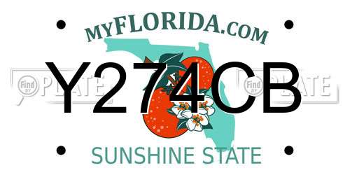 Y274CB Florida License Plate