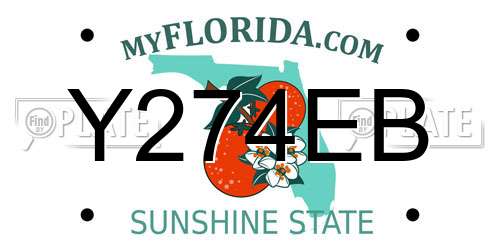 Y274EB Florida License Plate