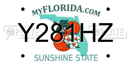 Y281HZ Florida License Plate