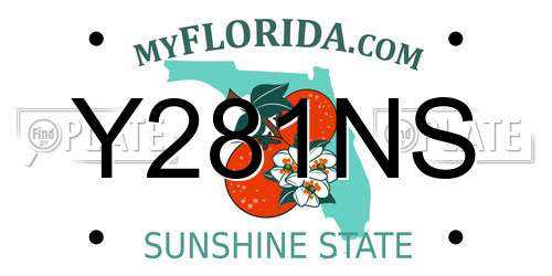 Y281NS Florida License Plate