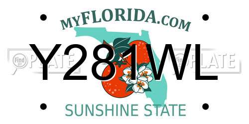 Y281WL Florida License Plate