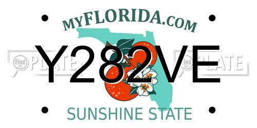 Y282VE Florida License Plate