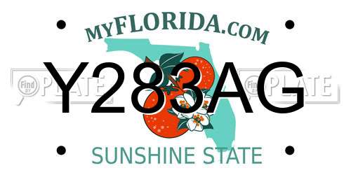 Y283AG Florida License Plate