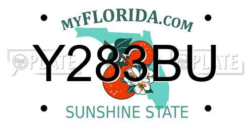 Y283BU Florida License Plate