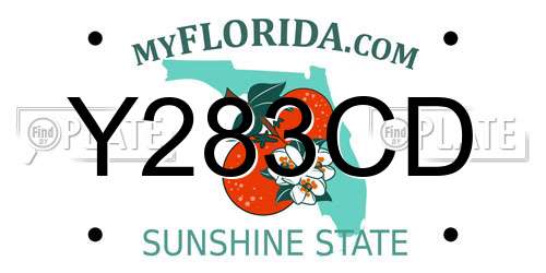 Y283CD Florida License Plate