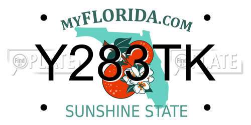 Y283TK Florida License Plate