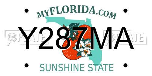 Y287MA Florida License Plate