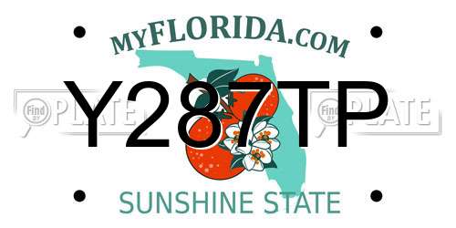 Y287TP Florida License Plate