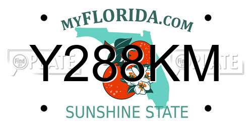 Y288KM Florida License Plate