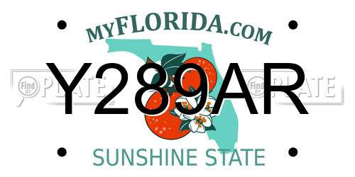 Y289AR Florida License Plate