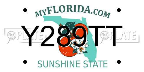 Y289TT Florida License Plate