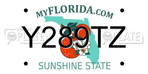 Y289TZ Florida License Plate