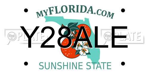 Y28ALE Florida License Plate