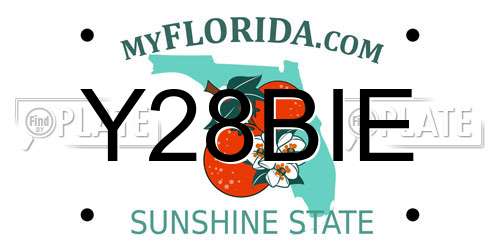 Y28BIE Florida License Plate