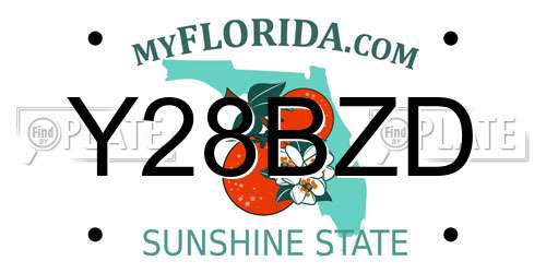 Y28BZD Florida License Plate