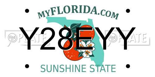 Y28EYY Florida License Plate