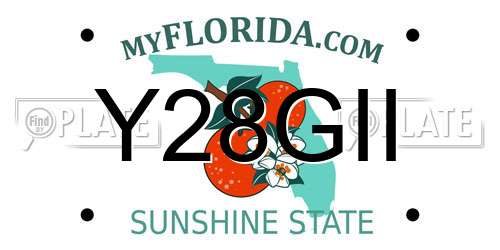 Y28GII Florida License Plate
