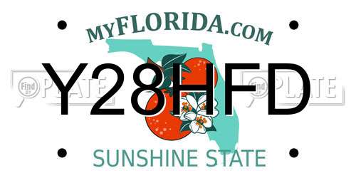 Y28HFD Florida License Plate