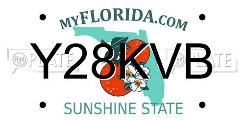 Y28KVB Florida License Plate
