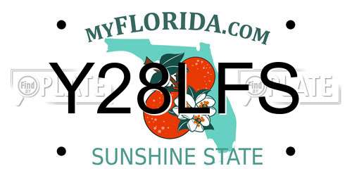 Y28LFS Florida License Plate