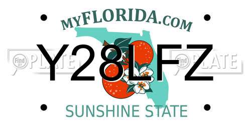 Y28LFZ Florida License Plate