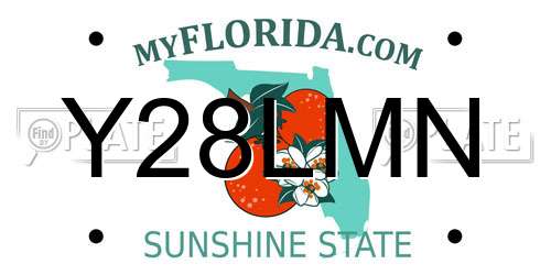 Y28LMN Florida License Plate