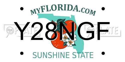Y28NGF Florida License Plate